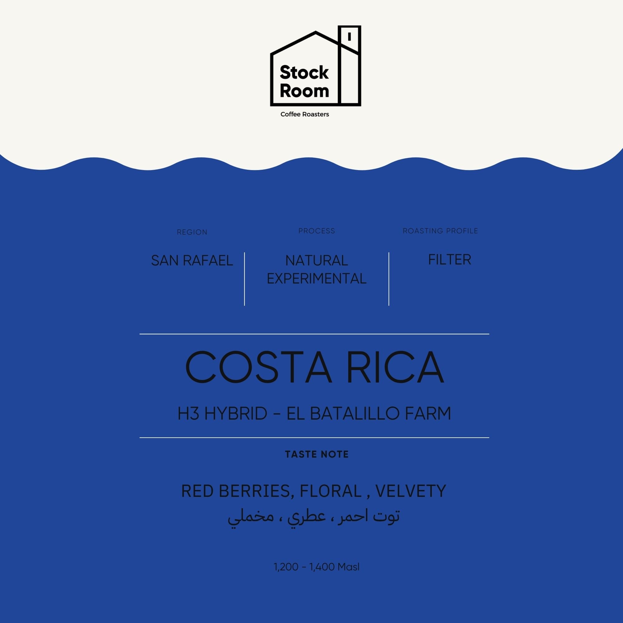 Costa Rica H3 Hybrid Filter - 250gram